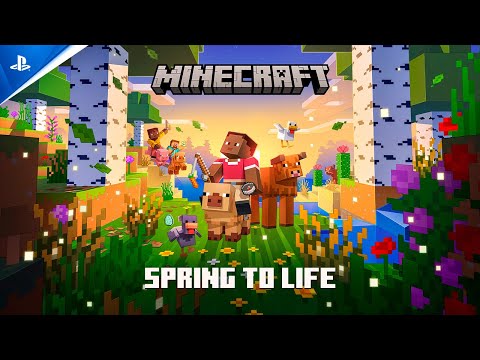PS5 Minecraft New