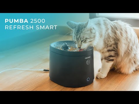 Cecotec 09563 Automatic pet fountain Pumba 2200 2.5l - outlet