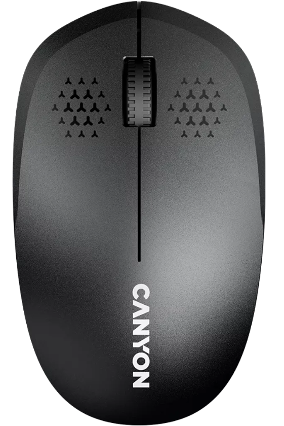 Canyon CNS-CMSW04B/ BT Wireless Black