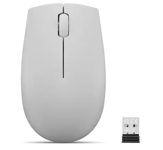 Lenovo 300 Wireless Compact Mouse, Arctic Grey with battery / GY51L15678