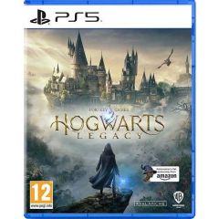 PS5 Hogwarts Legacy /118299