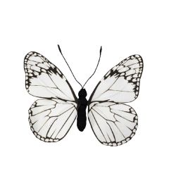 Espiel FTE333K6 butterfly décor grey 3x30x27cm