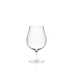 Rona 7462/540 beer glass 6x540ml