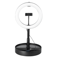Hama SpotLight FoldUp 102 II LED (4658)