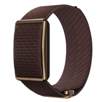 Polar LOOP GEN2 COP/BRN S-L