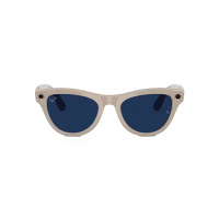 Ray-Ban Skyler (RW4010) Shiny Chalky Gray / Transitions Sapphire (C6700MF52)