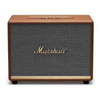 Marshall Woburn III Brown (1006085)