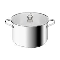 Tefal E3366455 Space+ Emotion+ casserole XL 29.5cm 9.6l