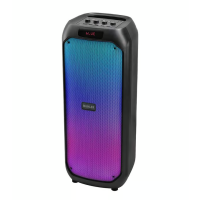 Muhler MAX881R Active Speaker / 1009091