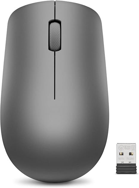 Lenovo 530 Wireless Mouse, Graphite /GY50Z49089