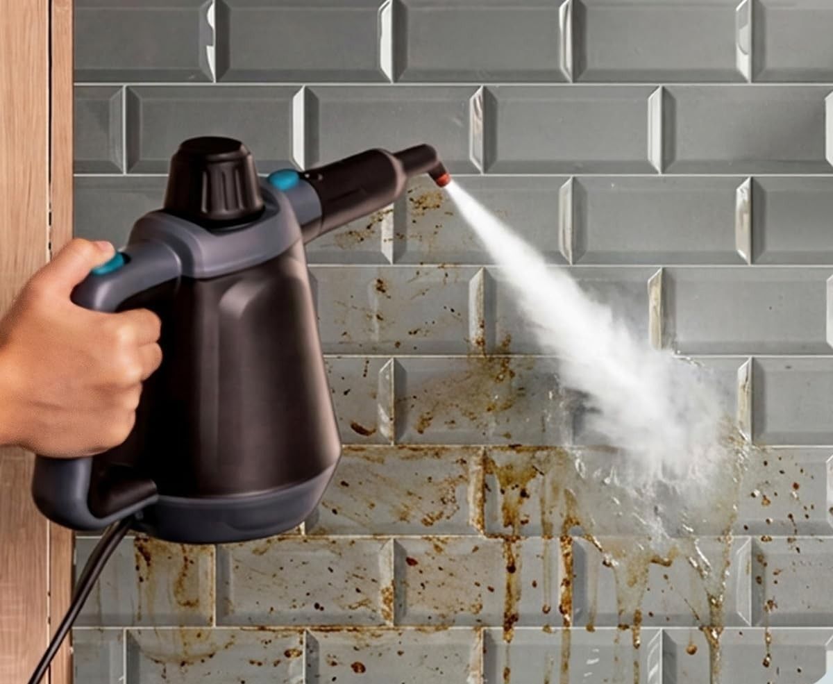 Cecotec A01_EU01_122317 Hydrosteam 1000 Blaze steam cleaner