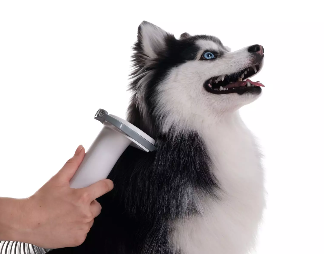 Haier PetPure