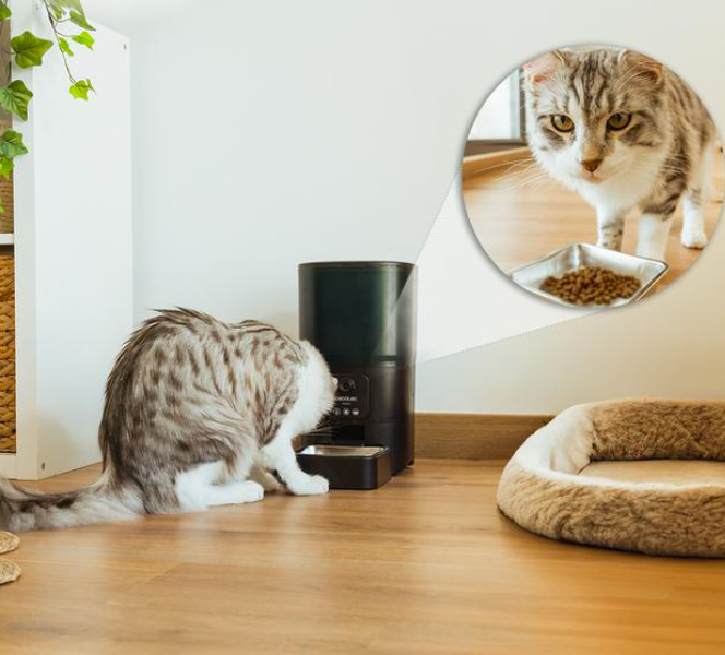 Cecotec 09566 Automatic pet feeder with Wi-Fi control - outlet