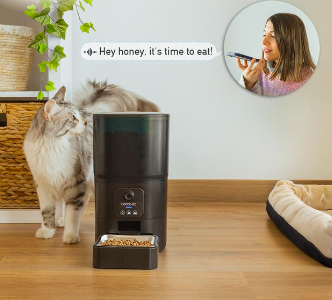 Cecotec 09566 Automatic pet feeder with Wi-Fi control - outlet