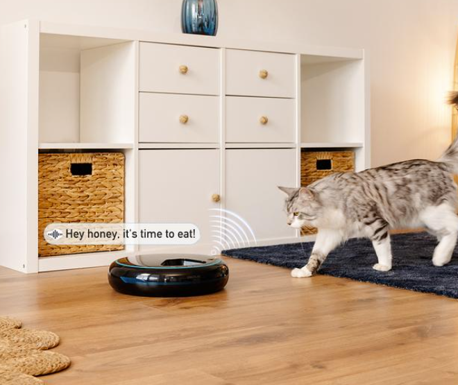 Cecotec 09562 Automatic pet food dispenser 1.6l - outlet
