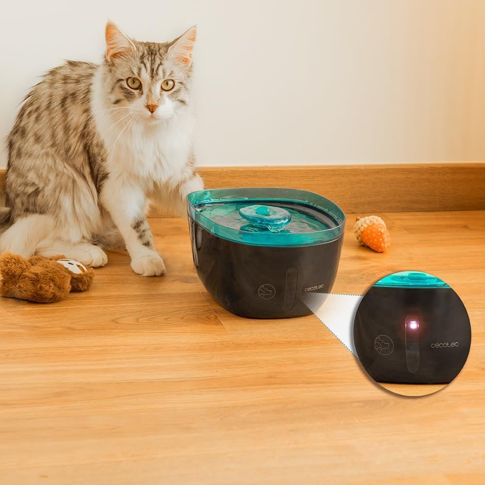 Cecotec 09561 Automatic pet fountain Pumba 2200 2l - outlet