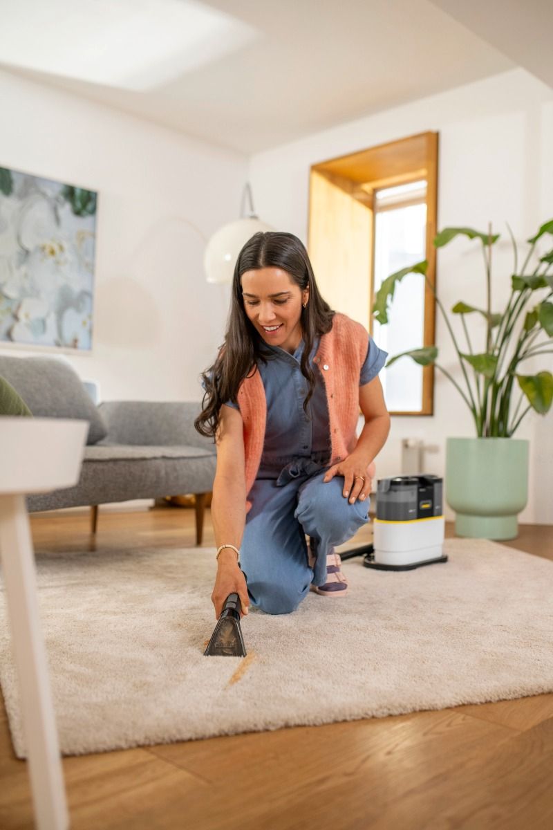 Karcher SE 2 Spot *EU (1.081-410.0)