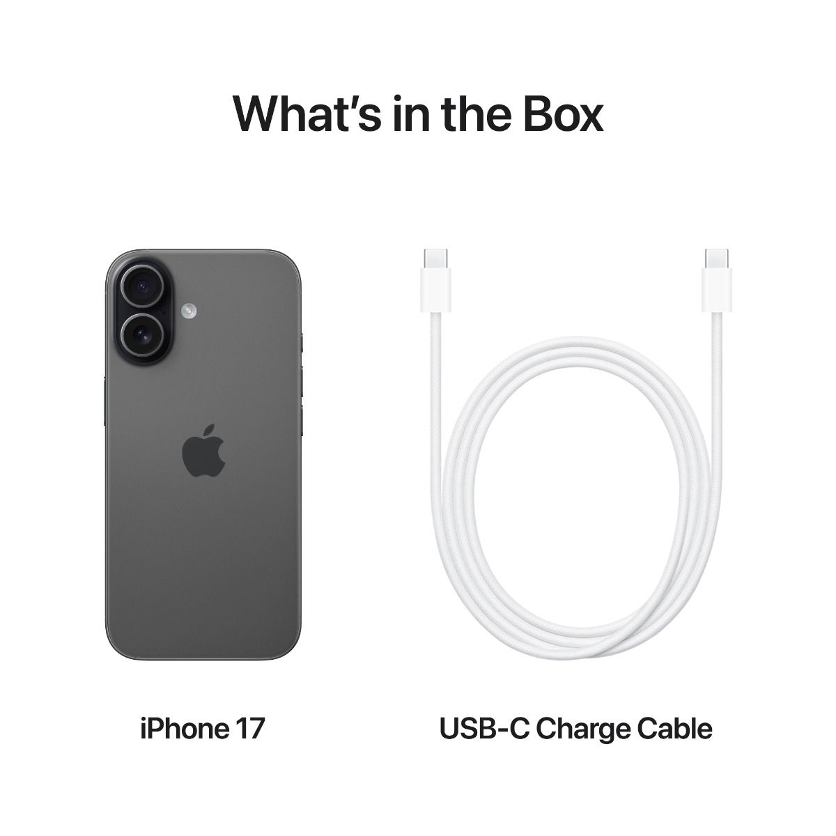 Apple iPhone 17 256GB Black /MG6J4