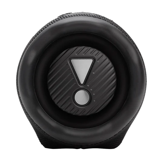 JBL CHARGE6BLK/T
