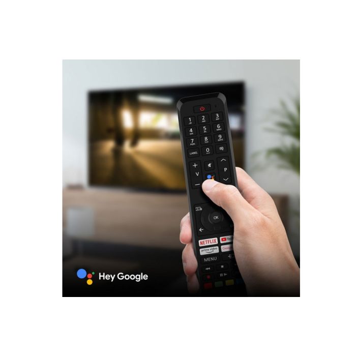 Panasonic TX-48MZ800E