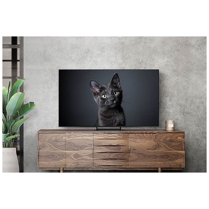Samsung QE65S90DAUXRU