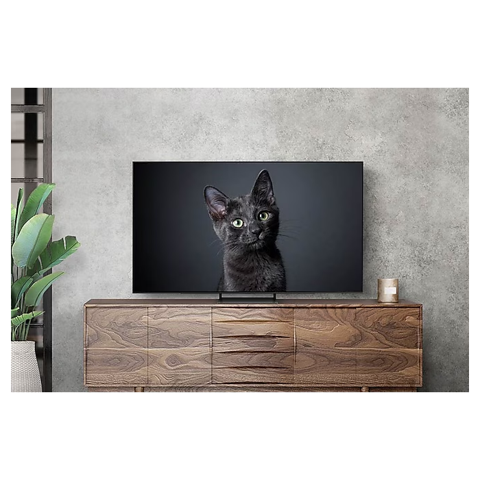 Samsung QE55S90DAUXRU