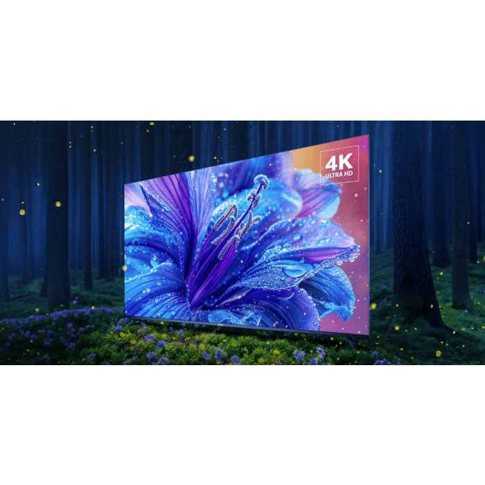 Haier 43 Smart TV S2