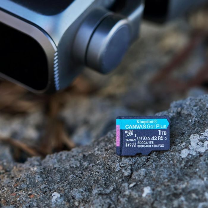Kingston Canvas Go Plus microSD memory card 128GB (SDCG4/128GB)