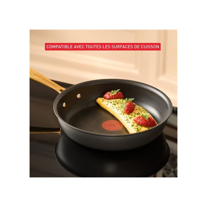Tefal G3370402 PAUL BOCUSE fry pan 24cm