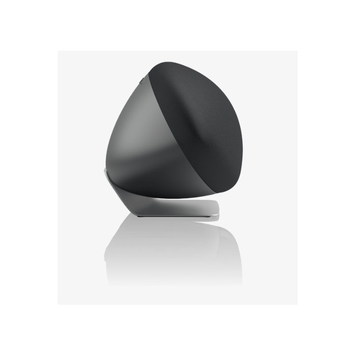 B & W Zeppelin Pro Edition Space Grey UK/EC