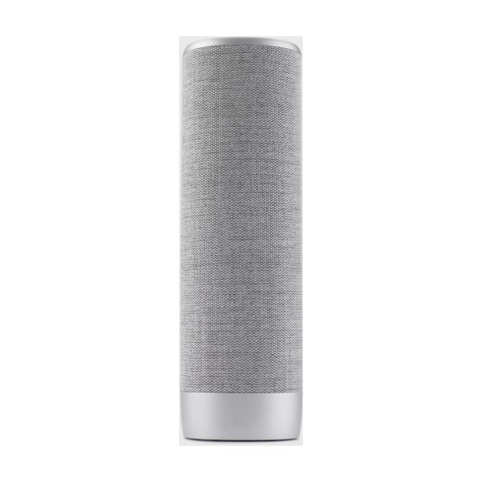 Harman Kardon HKCITASURRGRY