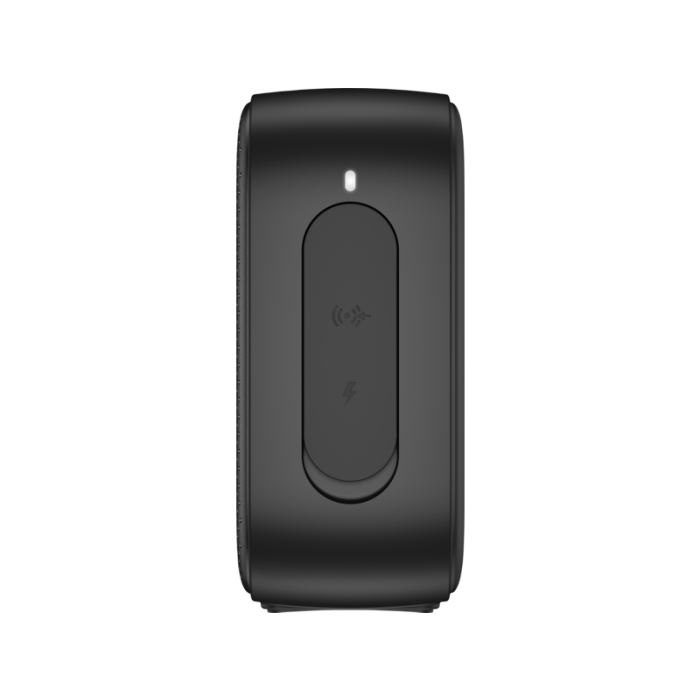 HP Simba Blk BT Speaker/2D802AA