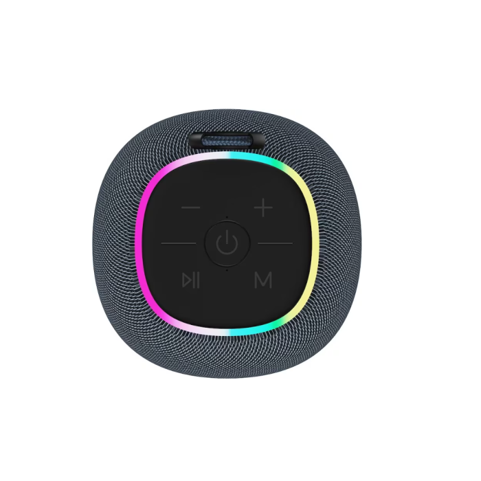 Canyon CNE-CBTSP8G/BT Speaker Grey