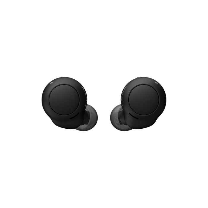 Sony WF-C500B