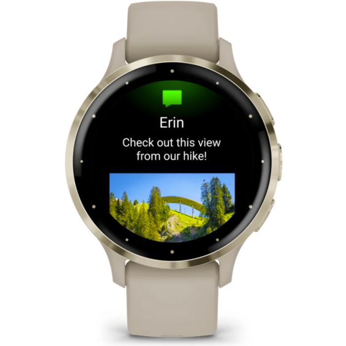 Garmin Venu 3s French grey