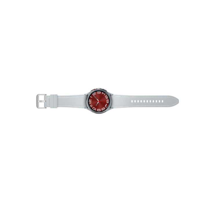Samsung Galaxy Watch 6 Classic 43mm Silver /SM-R950