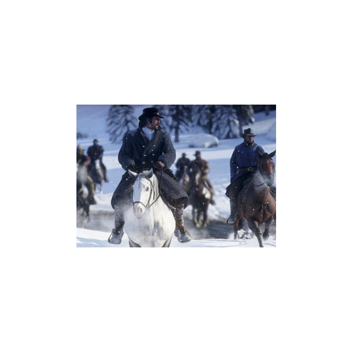 PS4 Red Dead Redemption 2