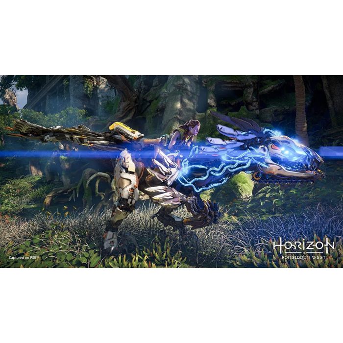 PS5 Horizon: Forbidden West