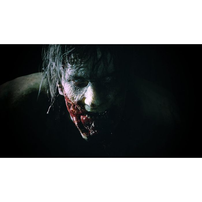 PS4 Resident Evil 2 /223229