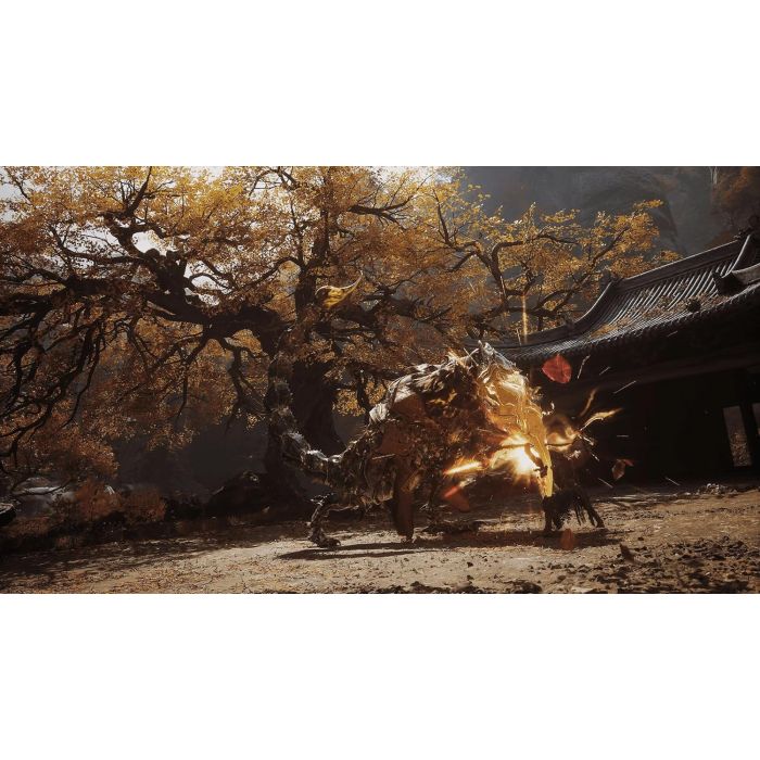 PS5 Black Myth: Wukong