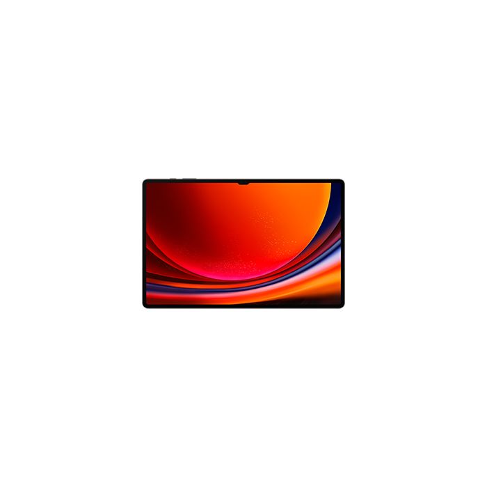 Samsung TAB S9 ULTRA 12/512 SM-X910N/8806095079646