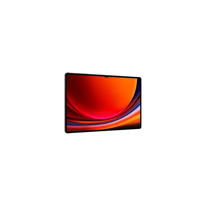 Samsung TAB S9 ULTRA 12/512 SM-X910N/8806095079646