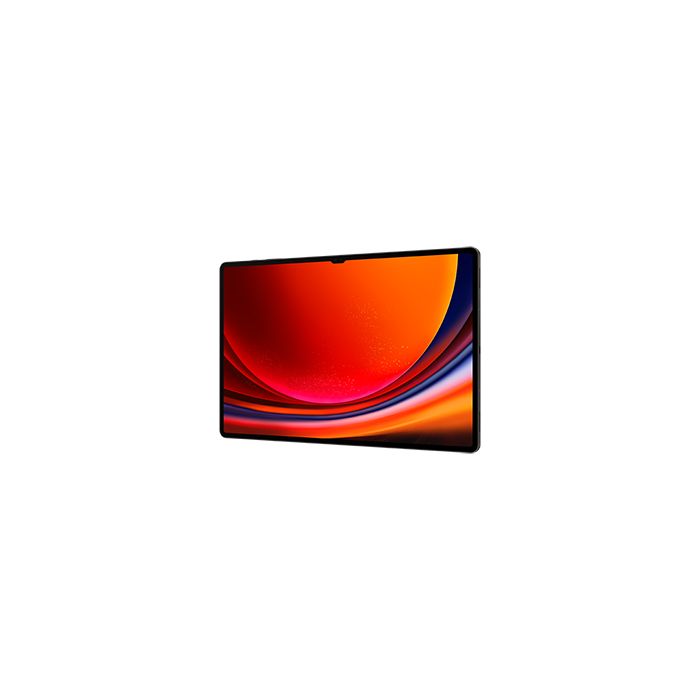 Samsung TAB S9 ULTRA 12/512 SM-X910N/8806095079646