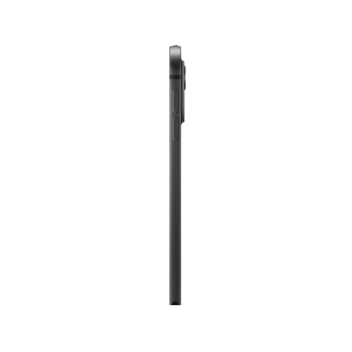 Apple iPad Pro 11" M4 256GB Wi-Fi+Cellular Black /MVW13*