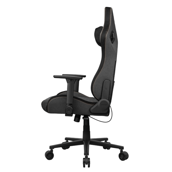 Cougar Defensor Gray F