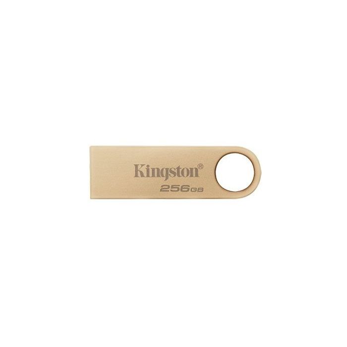 Kingston 256GB DataTraveler SE9 G3 USB Flash Drive (DTSE9G3/256GB)