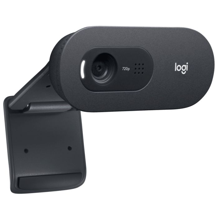 Logitech C505 HD Webcam/L960-001364