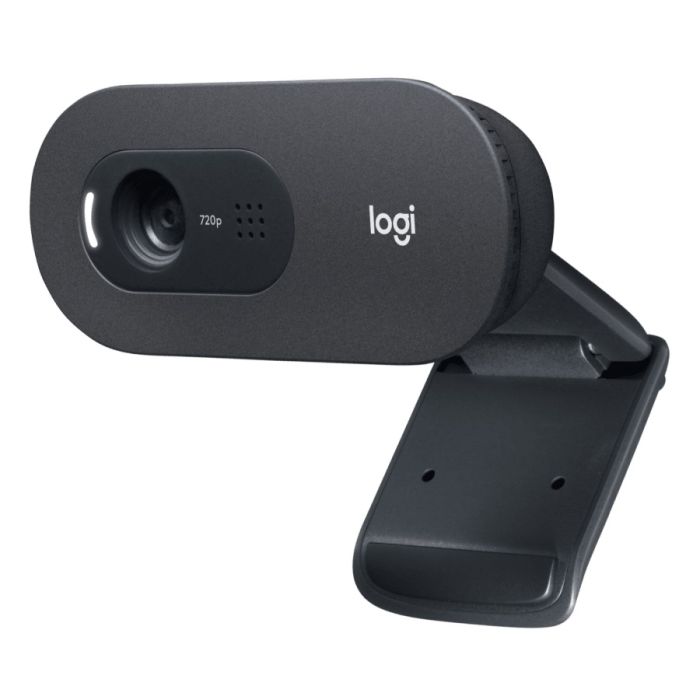 Logitech C505 HD Webcam/L960-001364