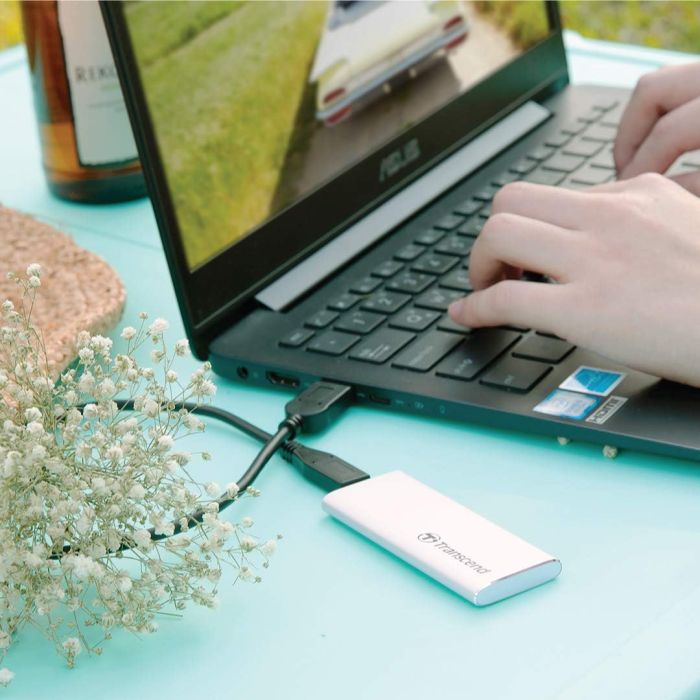 Transcend External SSD 120GB USB3.1(TS120GESD240C)