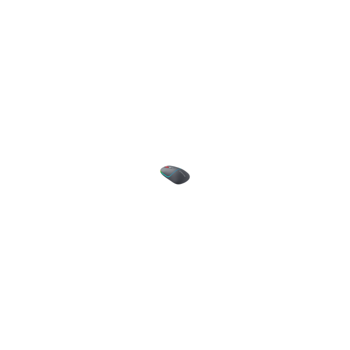 Canyon CNS-CMSW22DG/ Wless Mouse 2 Mode Grey
